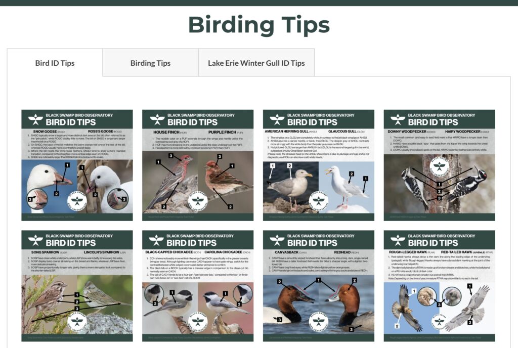 online resources - Birding with Donna